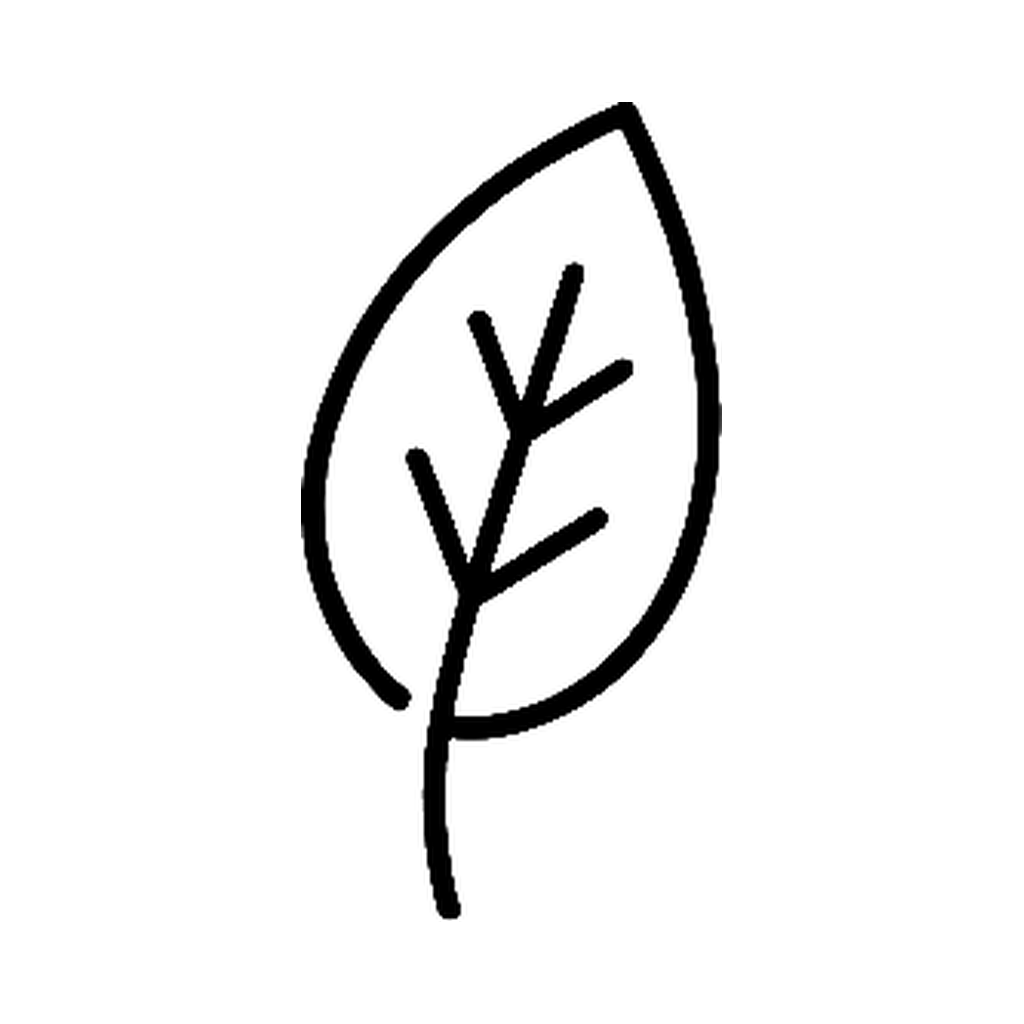 03-list