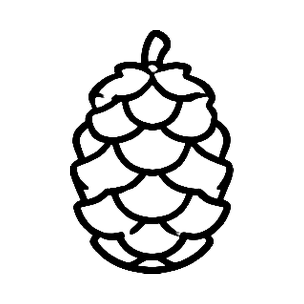 06-storž